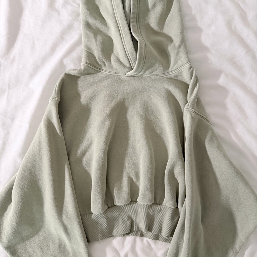 Aritzia Cropped Hoodie in Light Sage Green